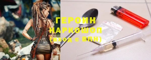 индика Гатчина